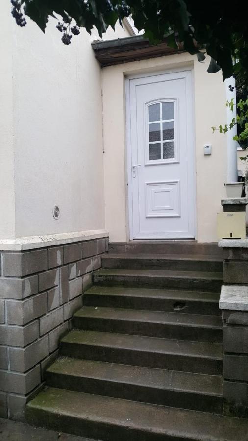 Grand Appartement Avec Terrasse & Jardin A 5 Minutes De Paris Cachan Esterno foto
